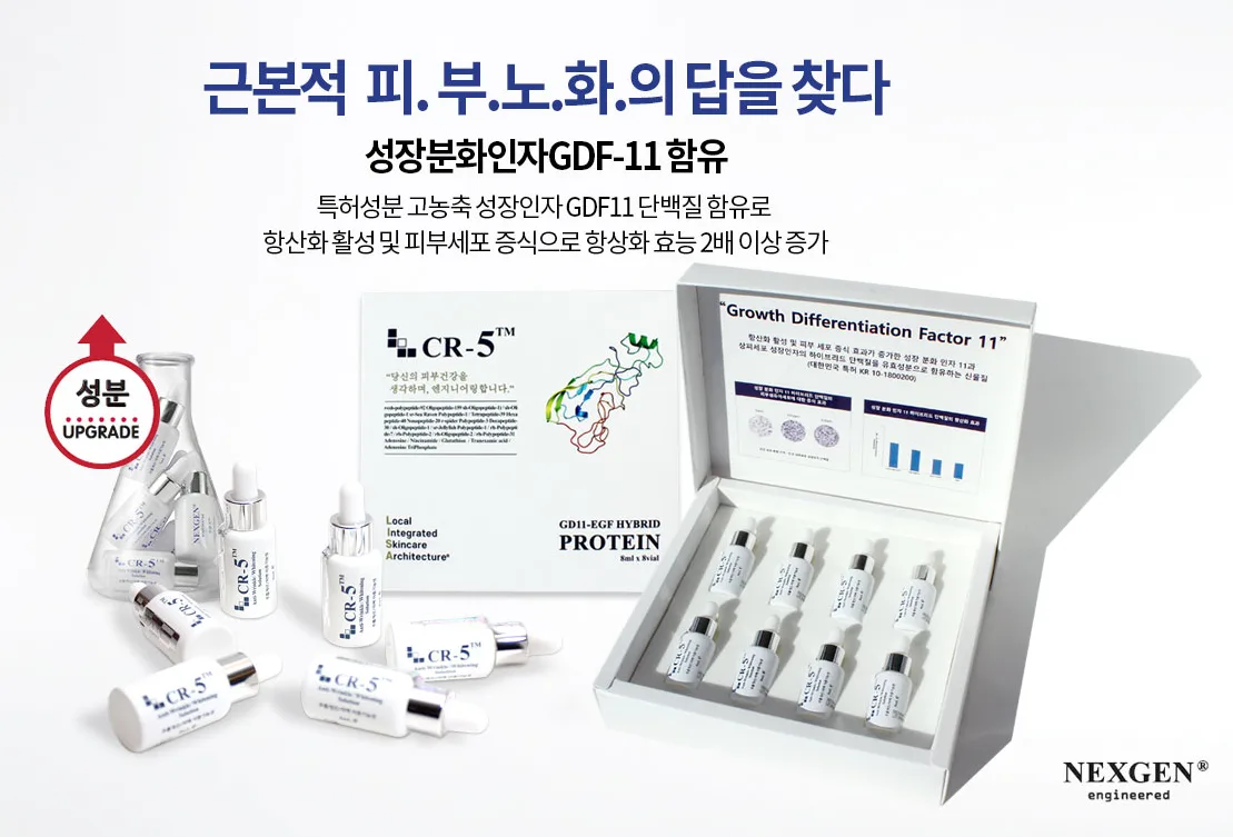 고지혈증으로 인한 혈관 막힘 이미지