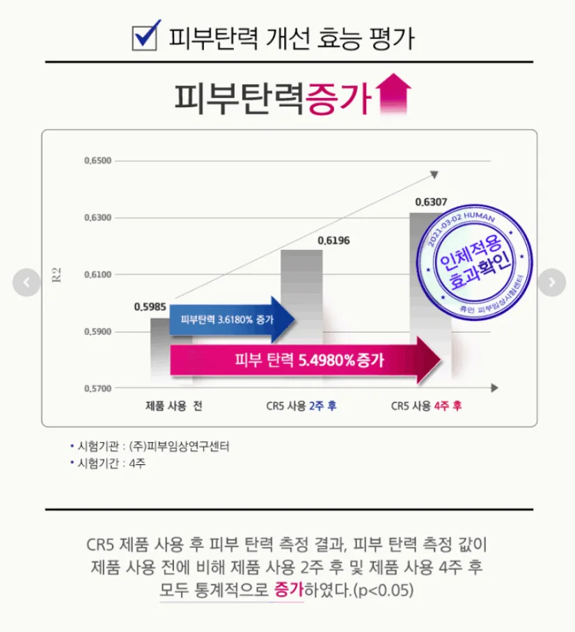 피부 속 콜라겐과 엘라스틴 구조도