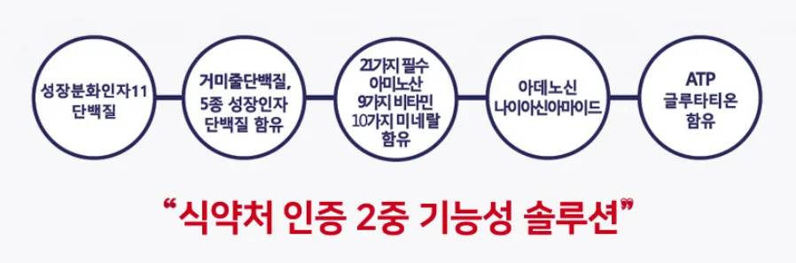 피부 세포 구조와 성장인자 단백질의 작용 모식도