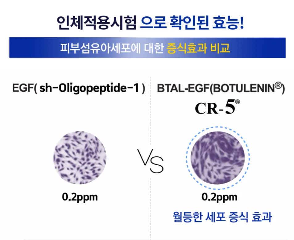 다양한 종류의 건강 기능 식품들