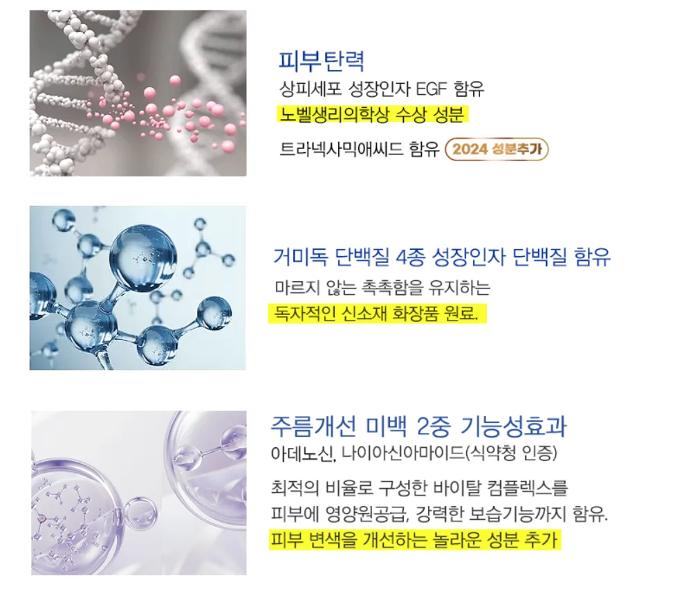 콜라겐과 엘라스틴 섬유의 중요성을 보여주는 피부 단면도
